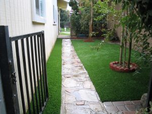 Sideyard area for the dog