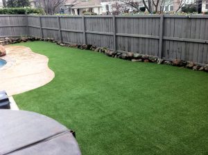 Our backyard lawn we built all by ourselves!